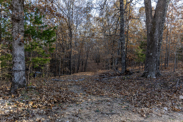 Property Photo:  2112 County Road 348  MO 65791 