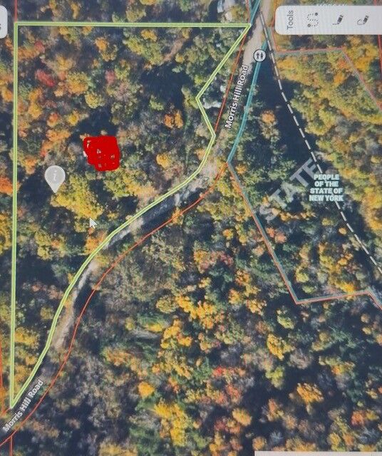 Property Photo: Morris Hill Road NY 14864