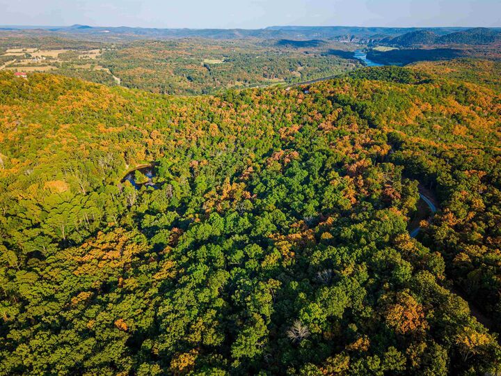 Property Photo: 1499 Ollie Mountain Lane AR 72634