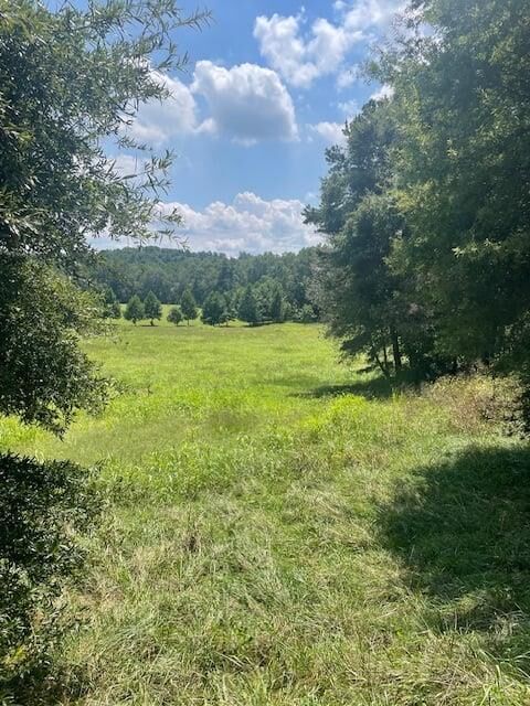 Property Photo:  Lot 8 Captains Court  GA 30523 