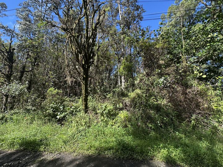 Property Photo:  16-1384 Ao Rd  HI 96771 