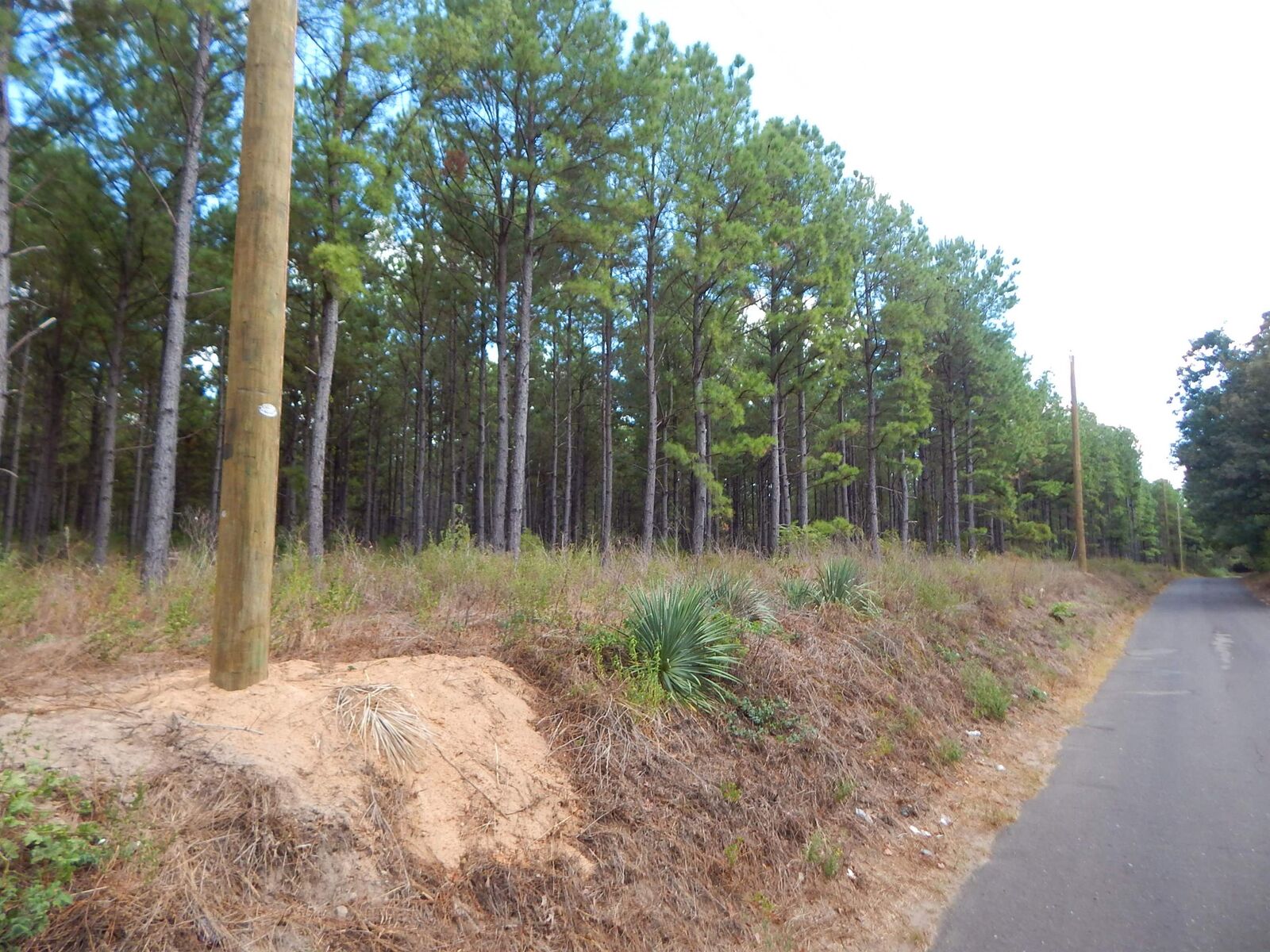 Property Photo:  Tbd 10 Acres West Spruce Rd. West Side  TX 75755 