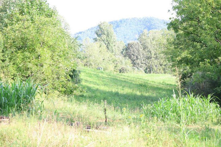 Property Photo:  0 Puppy Creek Road  VA 24521 