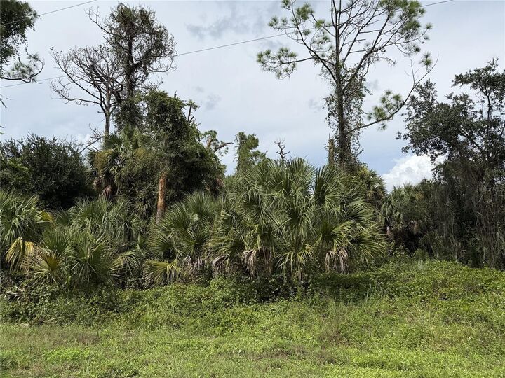 Property Photo:  Barcelona Drive  FL 34288 