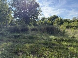 Property Photo:  103 Davis Street  IL 62918 