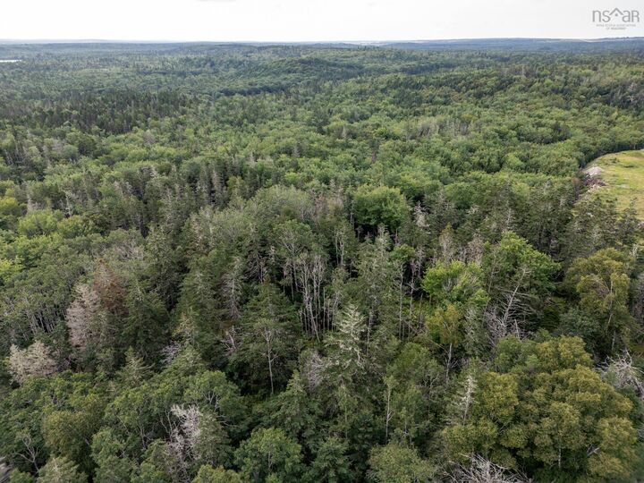 Property Photo:  Lot Greenville Road  NS B5A 5J6 
