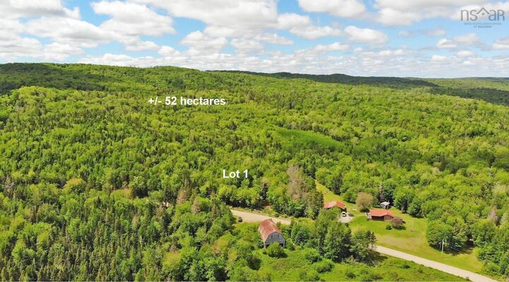 Property Photo:  131 Acres West Side Road  NS B0H 1J0 