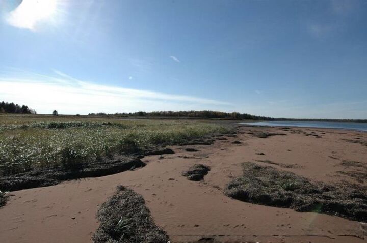 Property Photo:  Lot Strang Road - Waterfront  PE C0A 1J0 