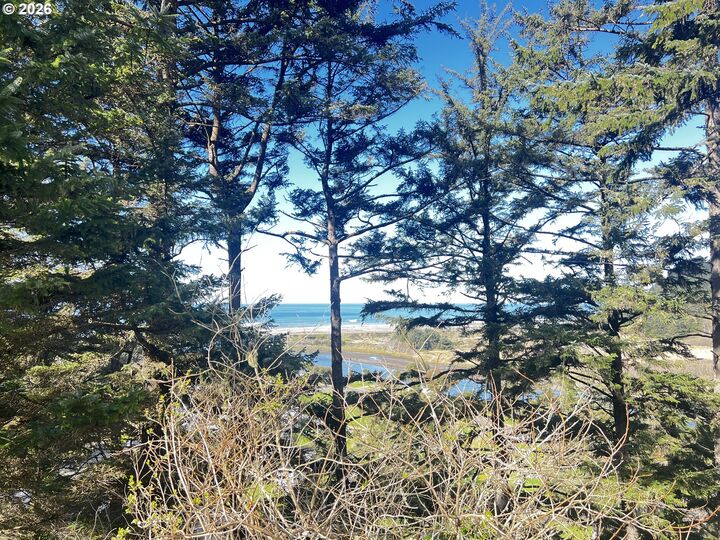 Property Photo:  28687 Brooks Rd  OR 97444 