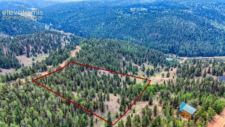 Property Photo:  71 Brown Bear Lane  CO 80813 