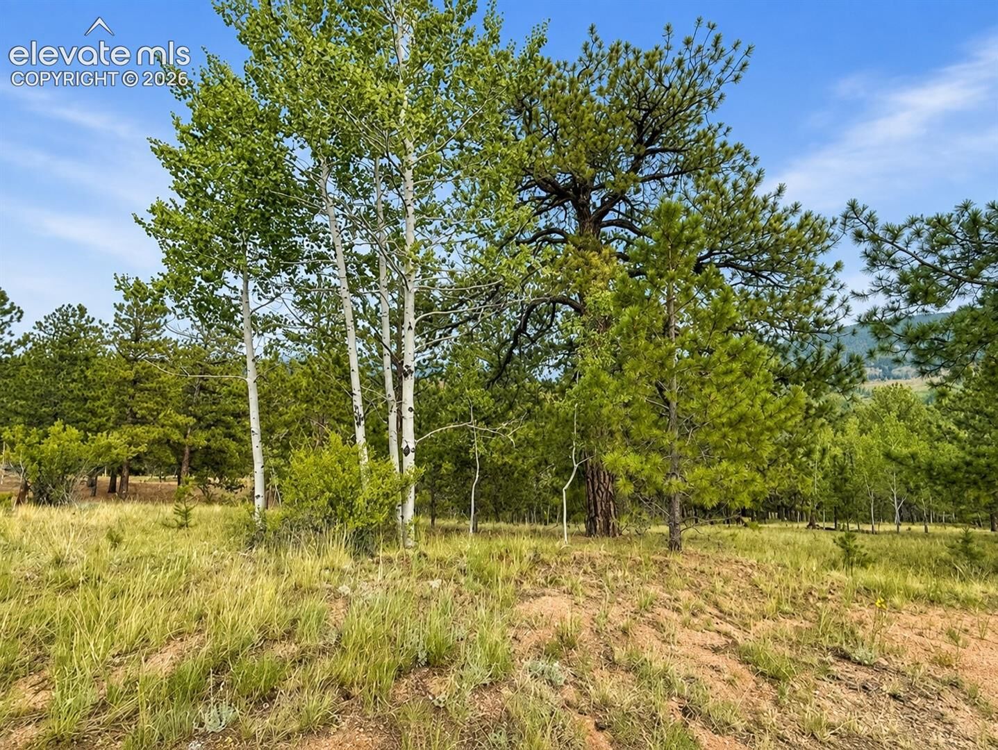 Property Photo: 88 May Queen Way CO 80813