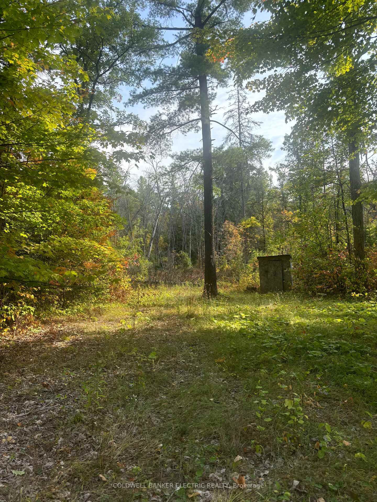 Property Photo:  0 Pineview Court  ON K0K 2M0 