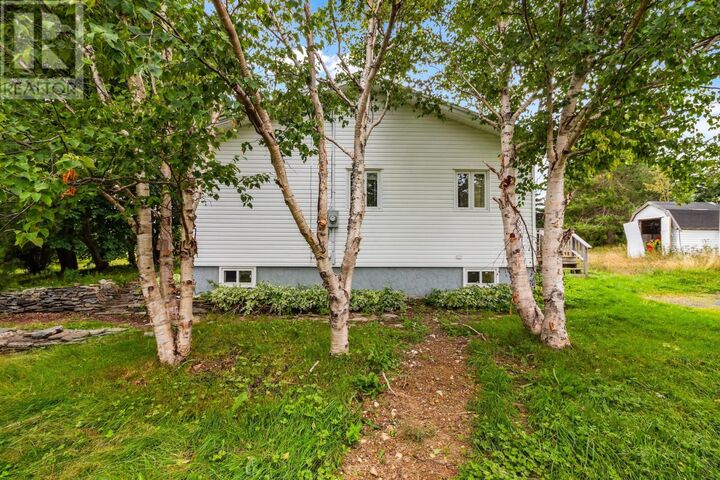 Property Photo:  249 East Highway  NL A0A 4G0 