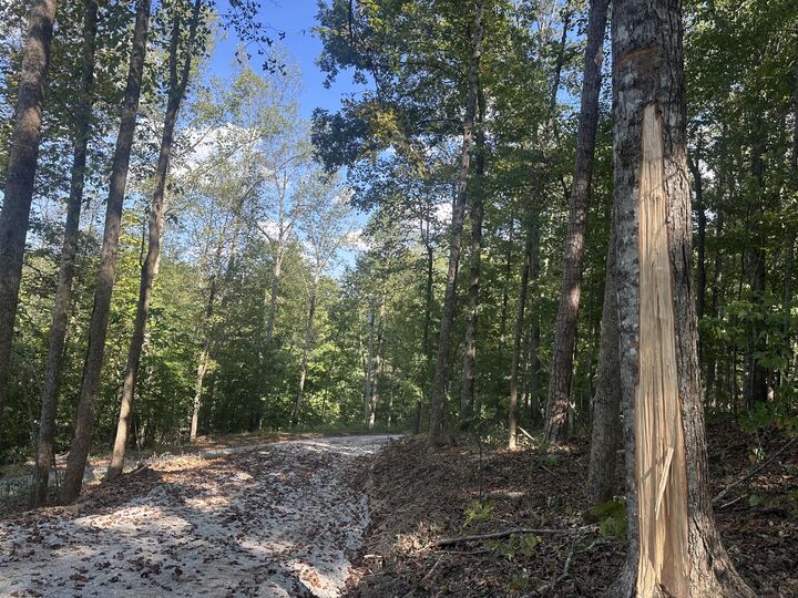 Property Photo:  591 Rocky Branch Road  KY 40729 