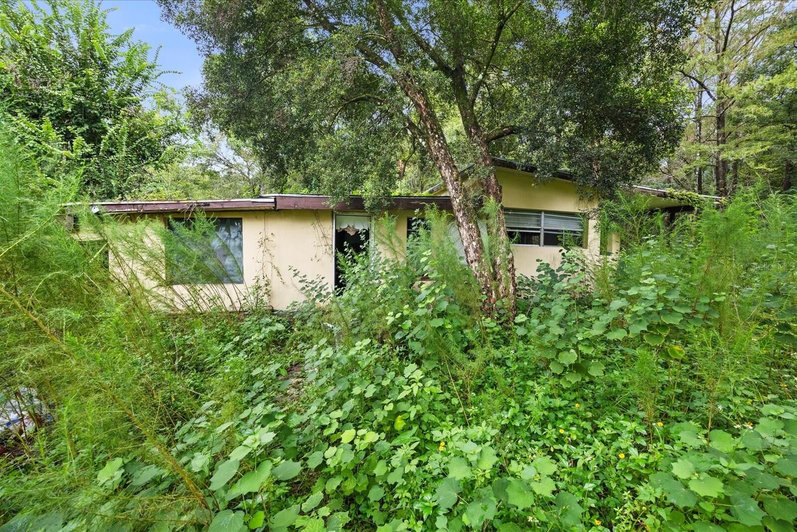Property Photo:  1220 NE 342nd Trail  FL 34972 