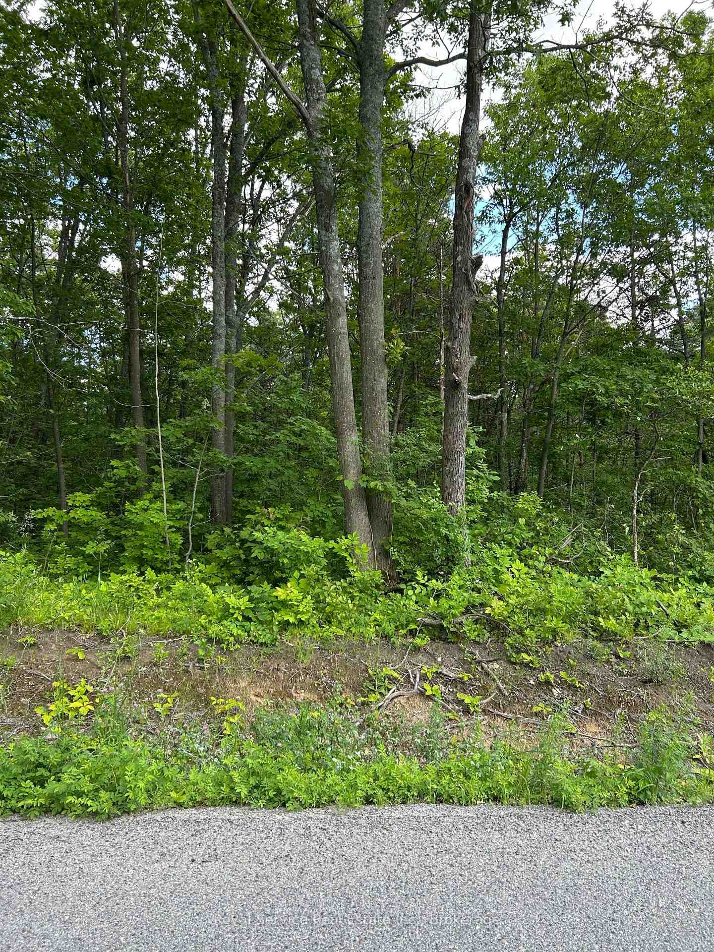 Property Photo:  100, 104, And 106 Dingman Road  ON K0K 1M0 