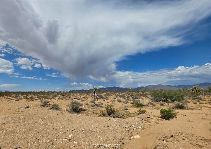 Property Photo: 243-10-020 S Alamo Road AZ 86438