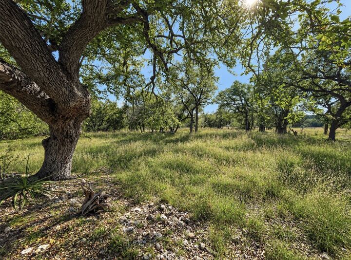 Property Photo:  Tbd Carney Lane  TX 78676 