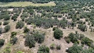 Property Photo: 178 County Road 199 TX 76864