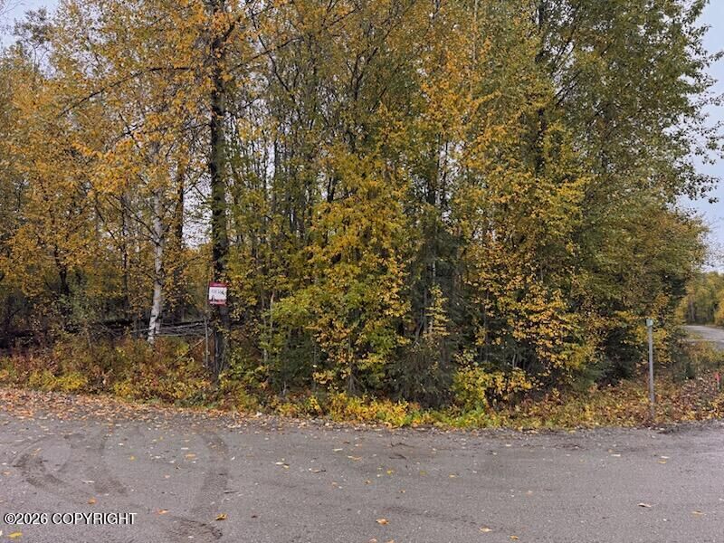 Property Photo:  14713 N Sundew Circle  AK 99688 