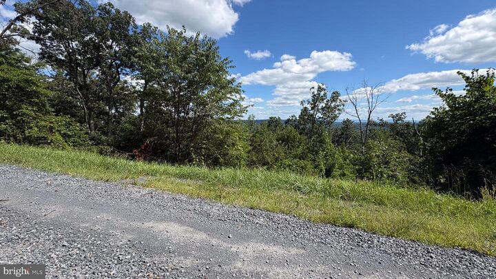 Property Photo:  Lot 113 Tomahawk Trail  VA 22602 