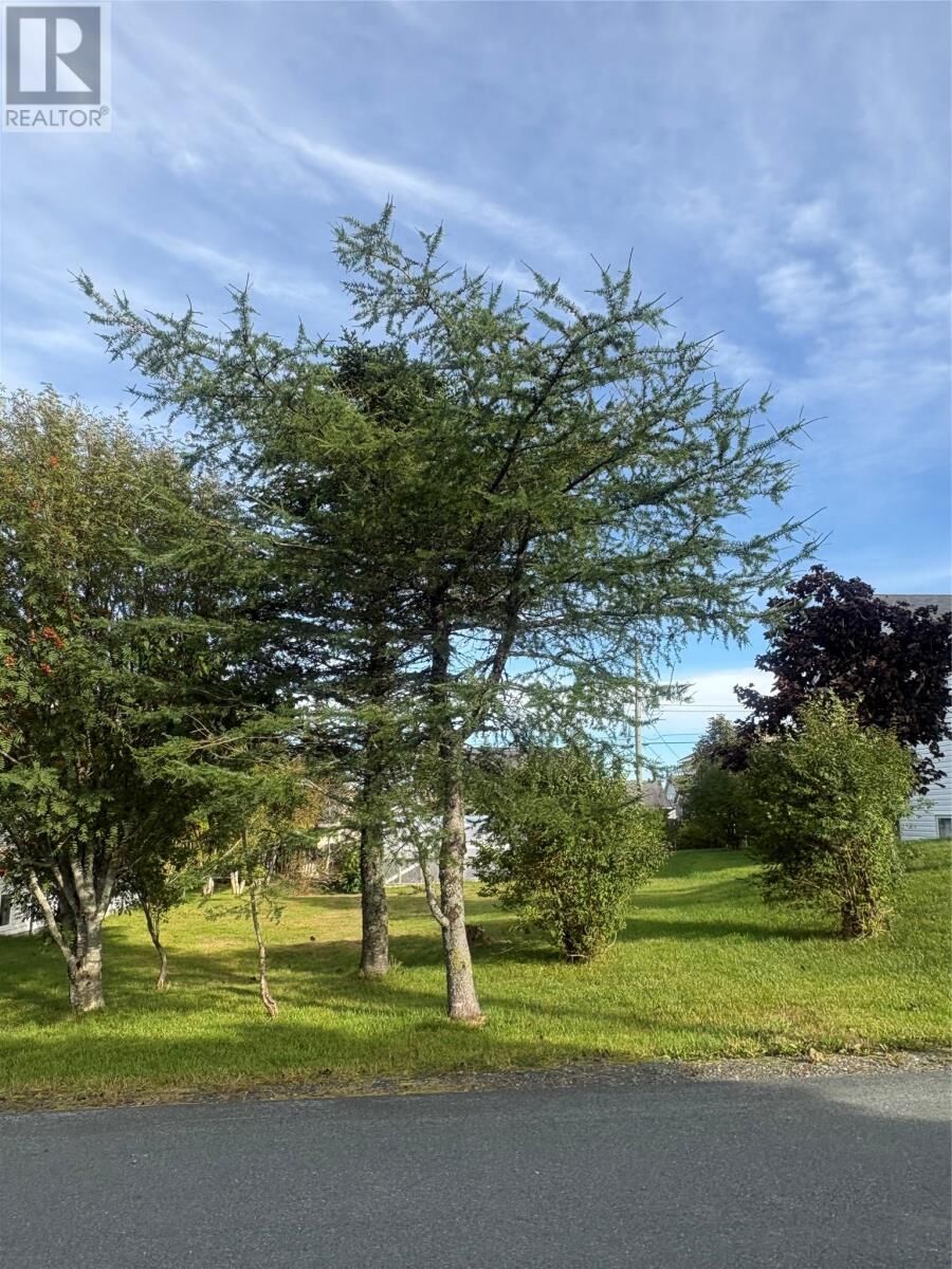 Property Photo:  15 Cedar Drive  NL A1A 4X4 