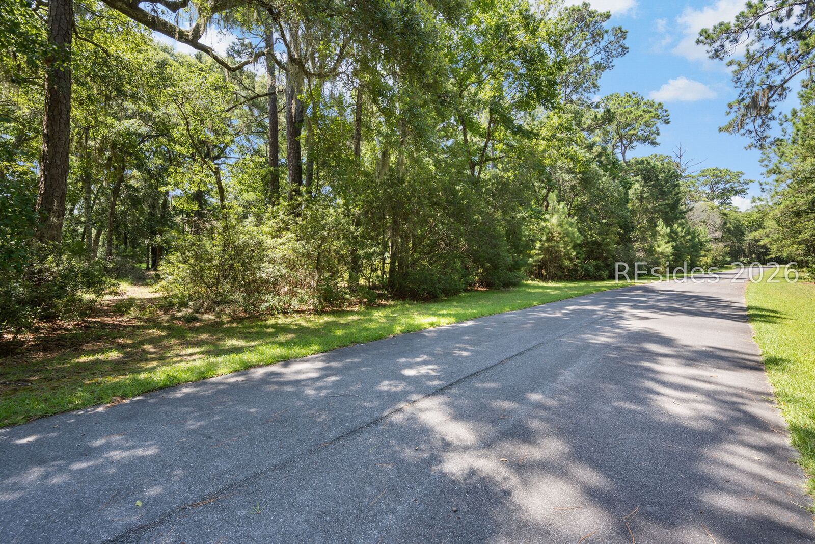 Property Photo:  38 Mongin Run  SC 29915 