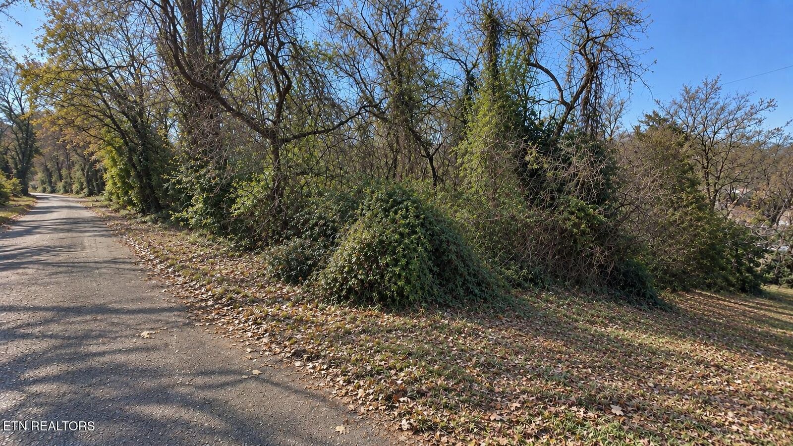 Property Photo: 0 Maryland Ave TN 37921