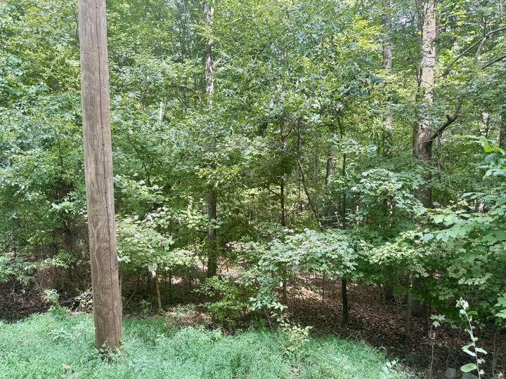 Property Photo: Lot 24E, Lot 25E, Lot 26E Parkersville Road KY 42038