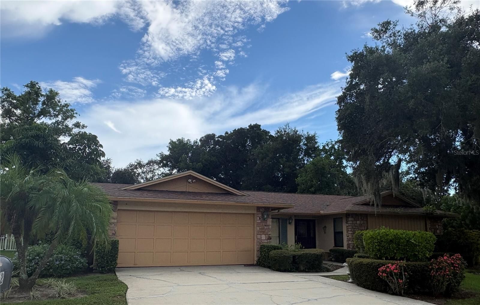 Property Photo:  862 Pinewood Terrace W  FL 34683 