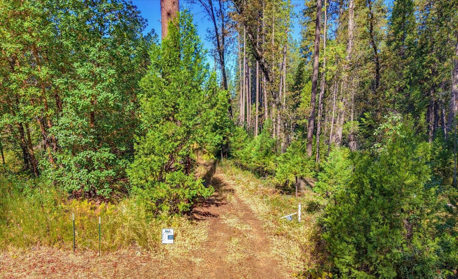 Property Photo: 13492 Gracie Road CA 95959