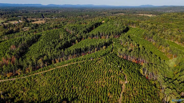 Property Photo:  33 County Road 101  AL 35960 