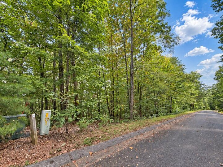 Property Photo:  35 Saw Blade Lane  GA 30540 
