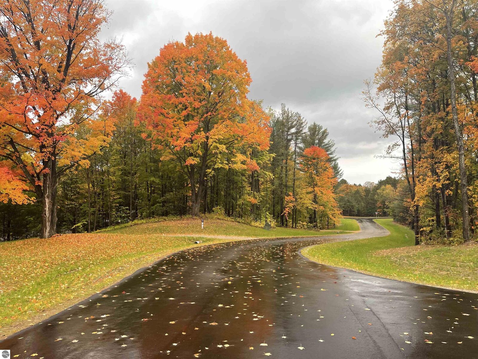Property Photo:  5142 Paradise Ranch  MI 49649 