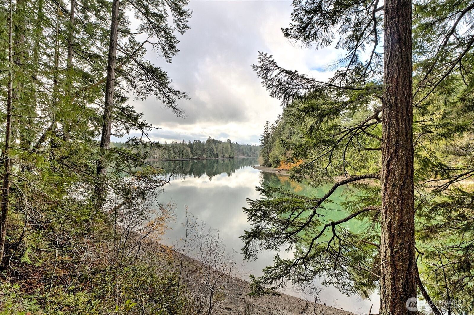 Property Photo:  120 SE Sells Drive  WA 98584 