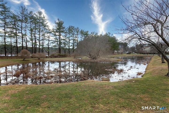 Property Photo:  365 Mather Street 170  CT 06514 