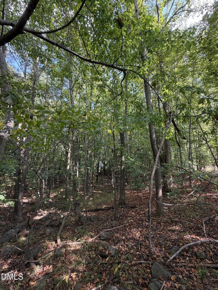 Property Photo:  176 Alan Lane  NC 27520 