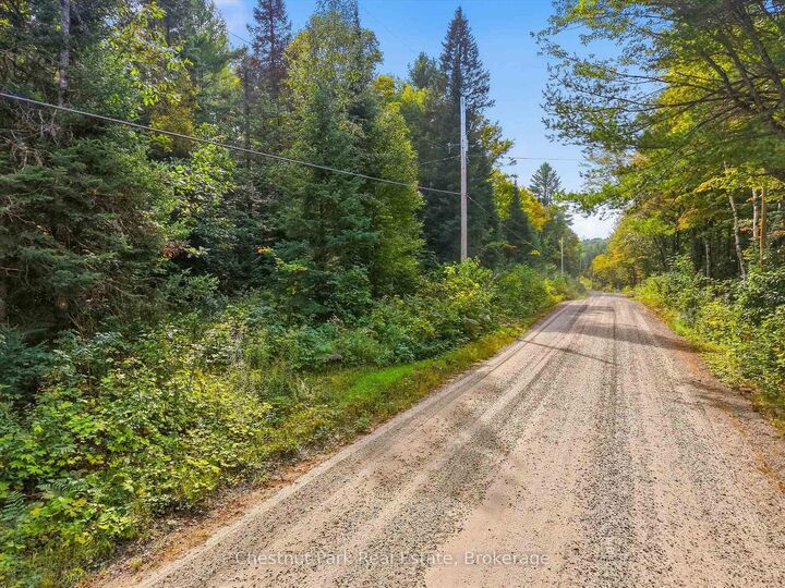 Property Photo:  00 Paint Lake Road  ON P0B 1A0 
