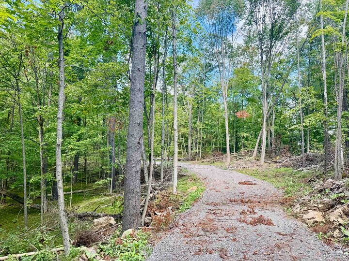 Property Photo:  00 North Lot Highway 62 N/A  ON K0K 2K0 