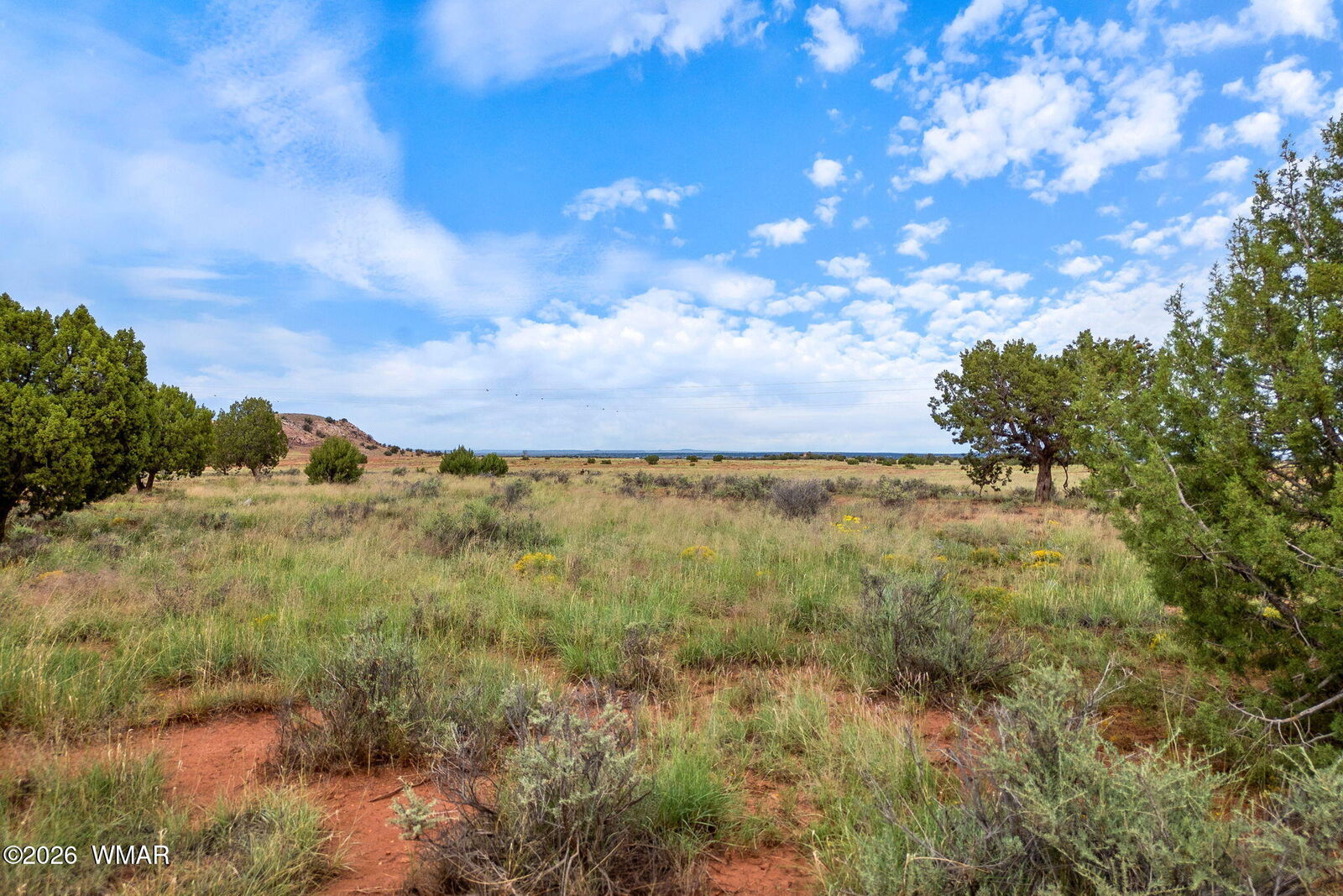 Property Photo:  316 County Rd 9211  AZ 85924 