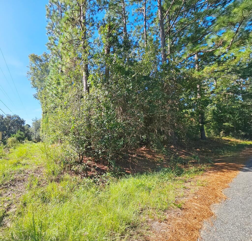 Property Photo:  6114 Poplar Road  GA 31705 