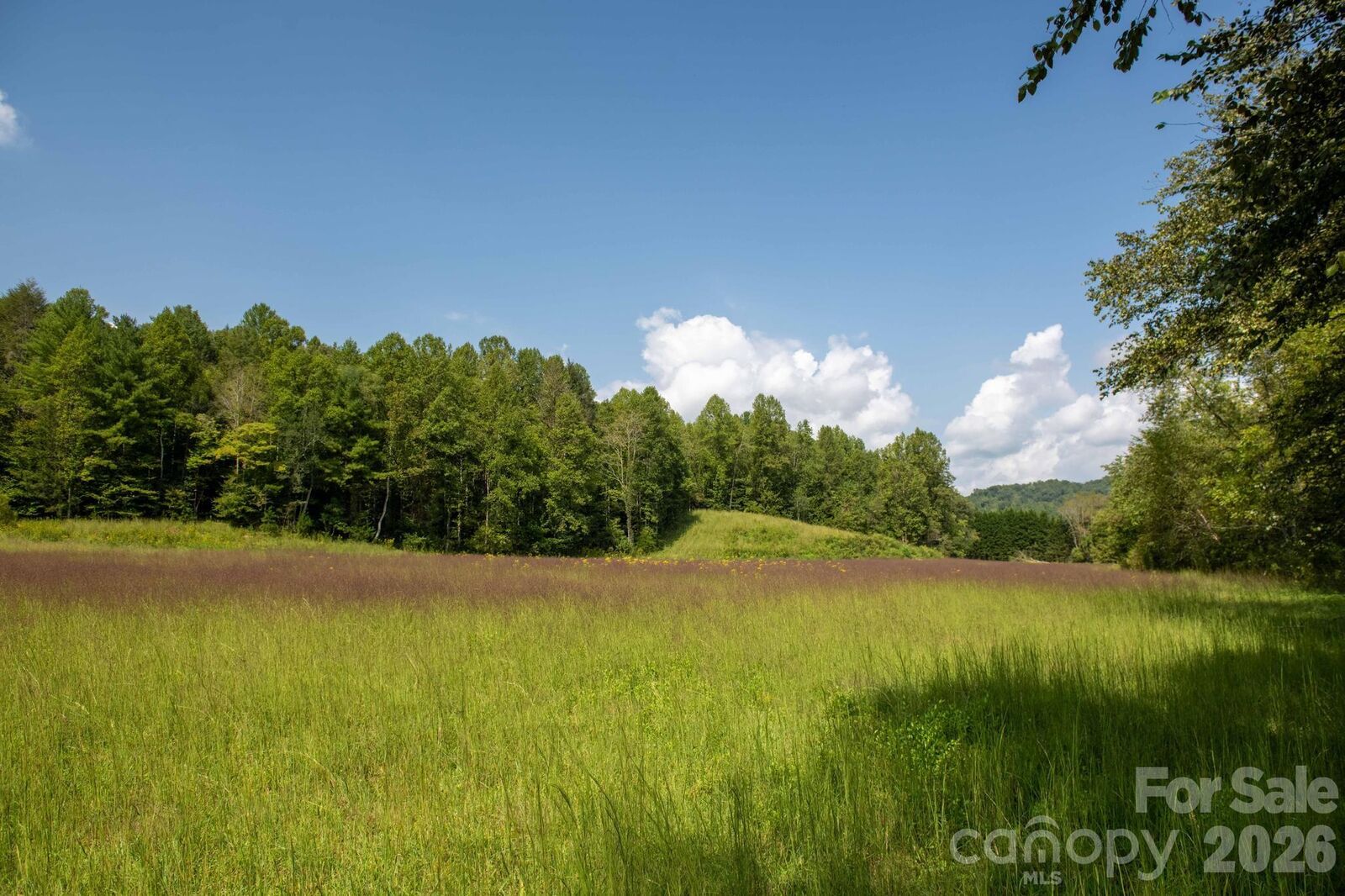 Property Photo: 3305 Zacks Fork Road NC 28645