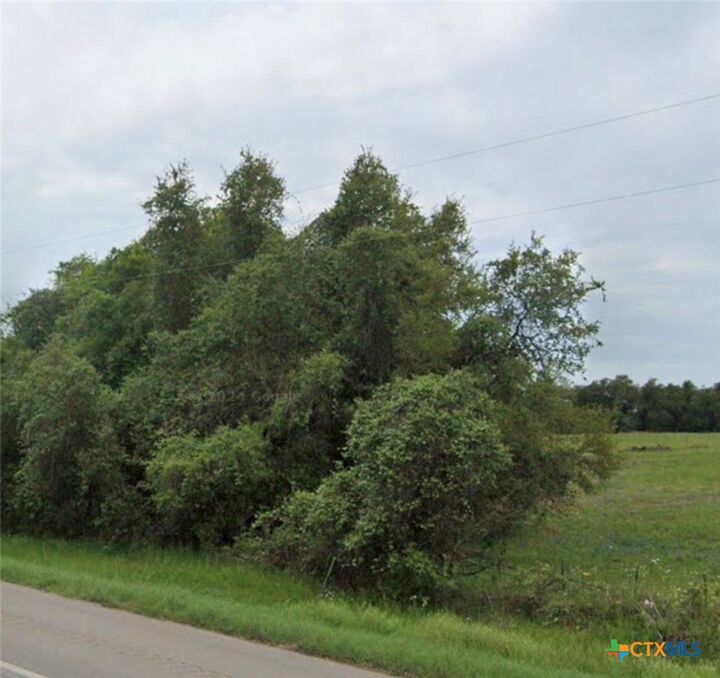 Property Photo:  Tbd State Highway 123 S  TX 78160 
