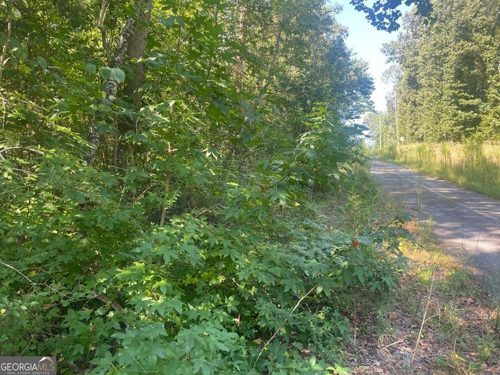 Property Photo: 0 Apache Trail GA 30557