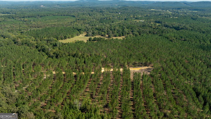 Property Photo: Tracts 10,11,12 Livingston Rd SW GA 30161