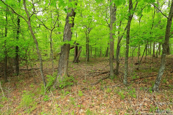 Property Photo:  782 Village Green Drive  MO 63357 