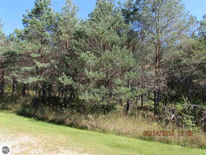 Property Photo:  451 Kleehammer Club Drive  MI 49646 