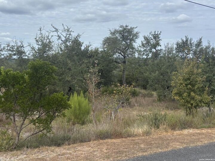 Property Photo: 26319 Quail Grove Ln TX 78006