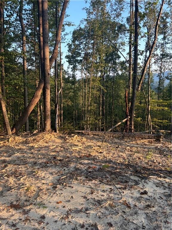 Property Photo:  Tbd Lot 2 Old Nc Highway 16  NC 28651 
