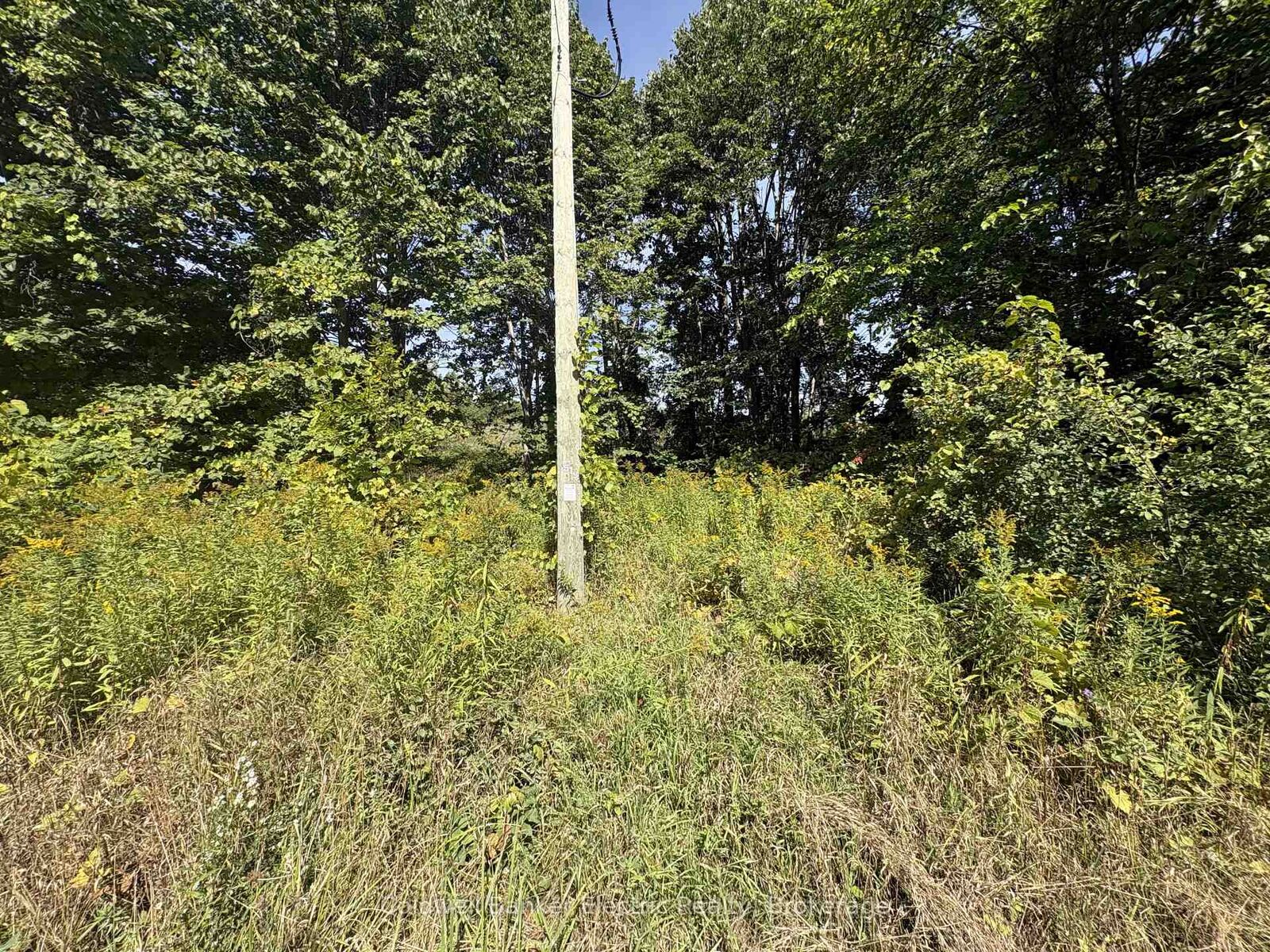 Property Photo: 00 Ingham Road (Lot 2 - East) N/A ON K0K 1C0
